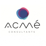 Acmé Consultants